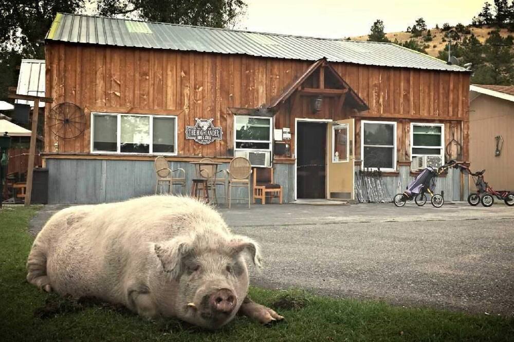 Photo of Outdoor in Helena