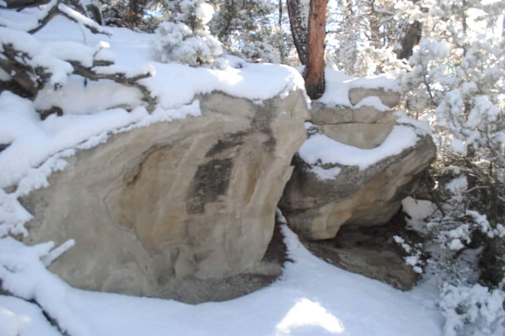 Photo of Outdoor in Roundup