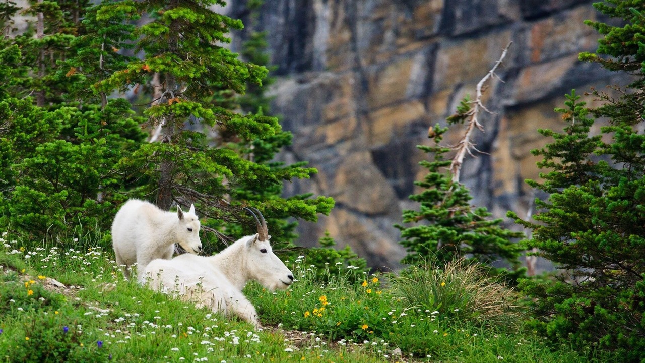 Photo of Outdoor in Agpar