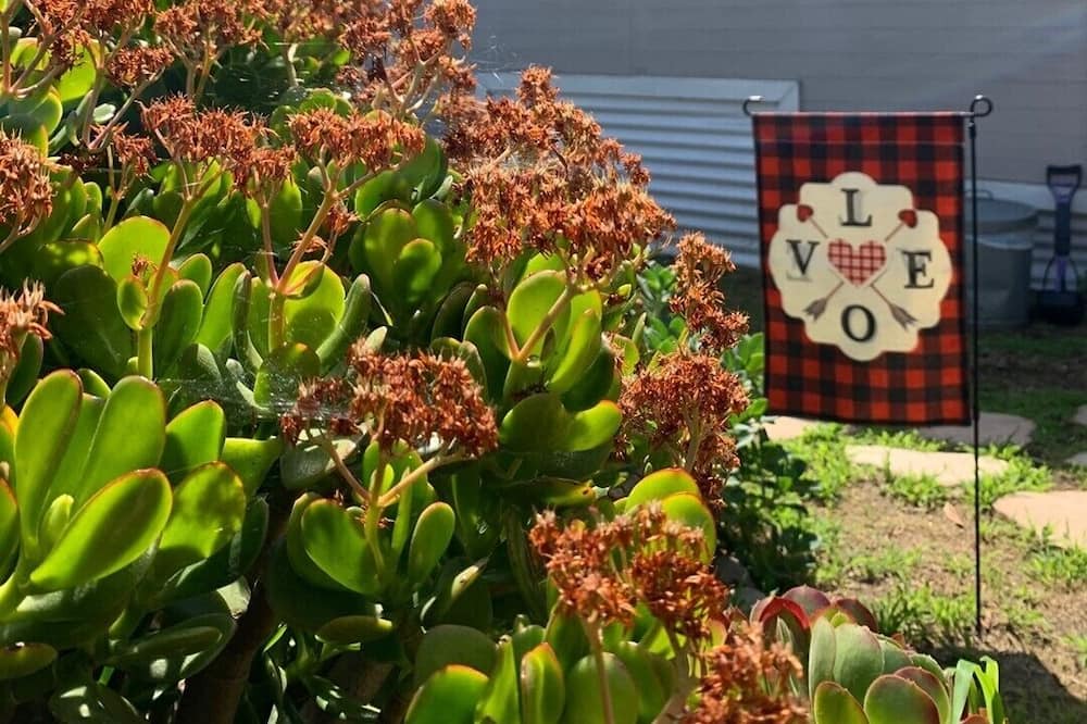 Photo of Outdoor in Stockton
