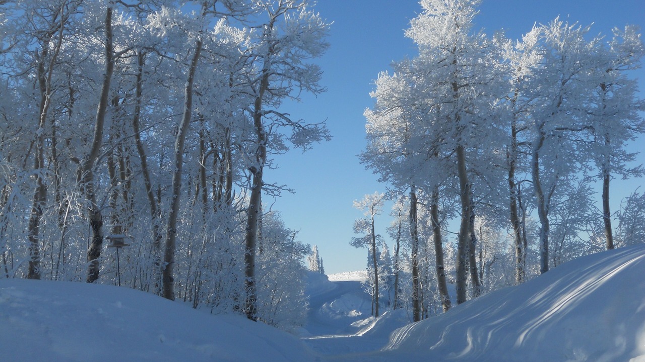 Photo of Others in Powder Mountain
