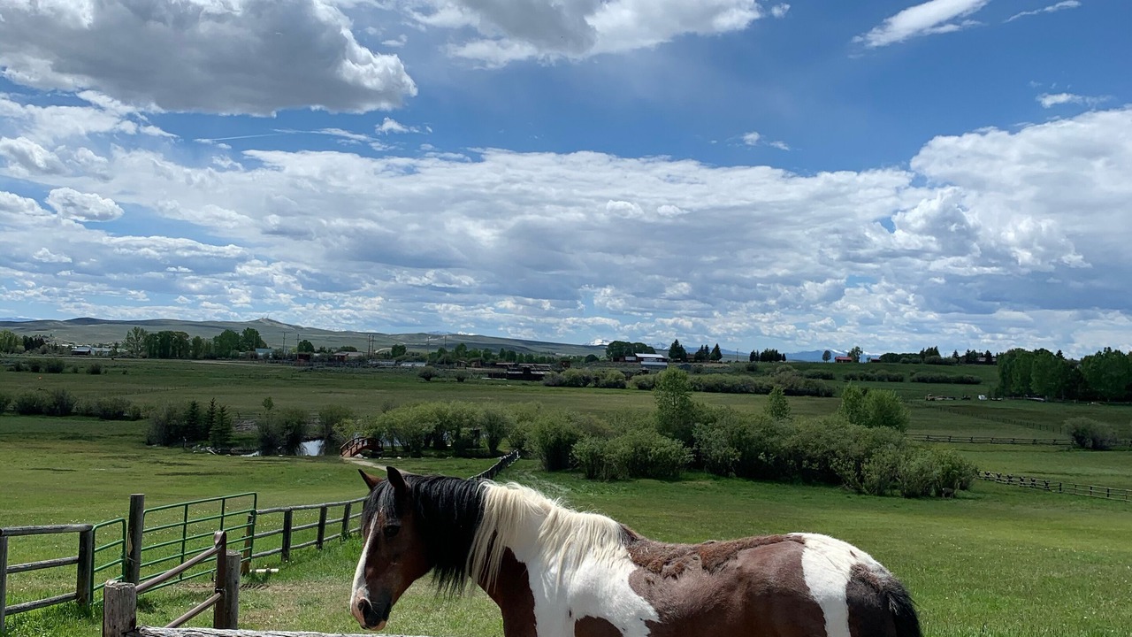 Photo of Others in Pinedale