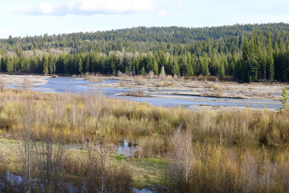 Photo of Outdoor in Moran