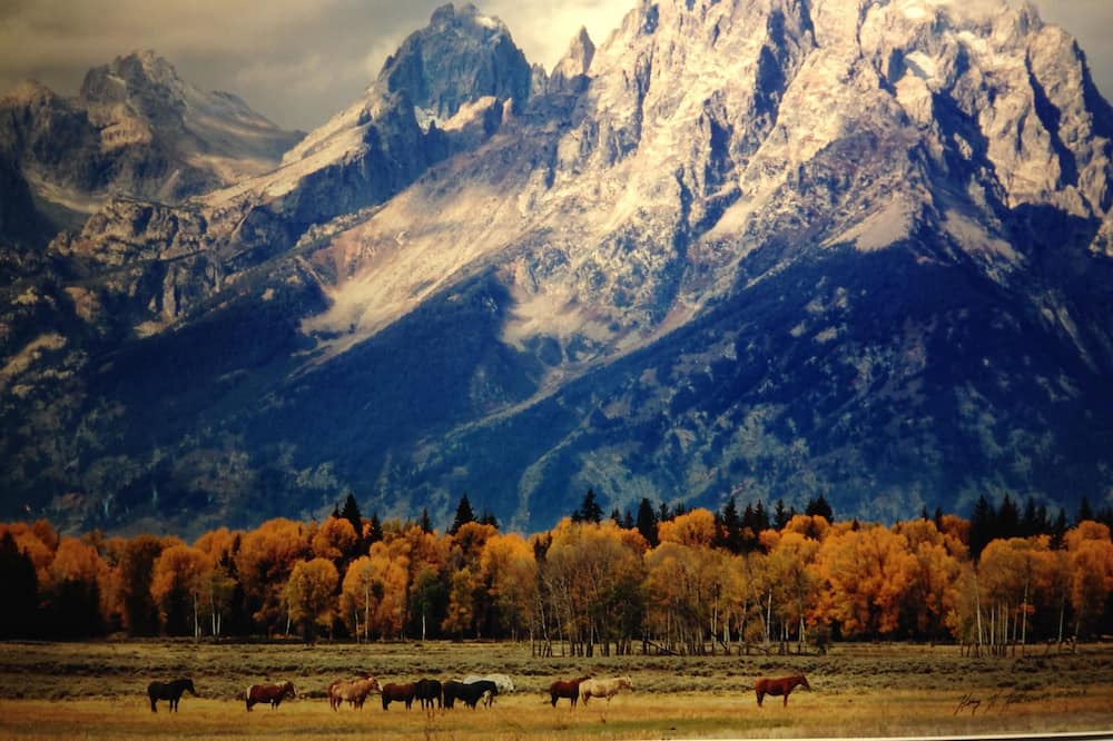 Photo of Outdoor in Moran