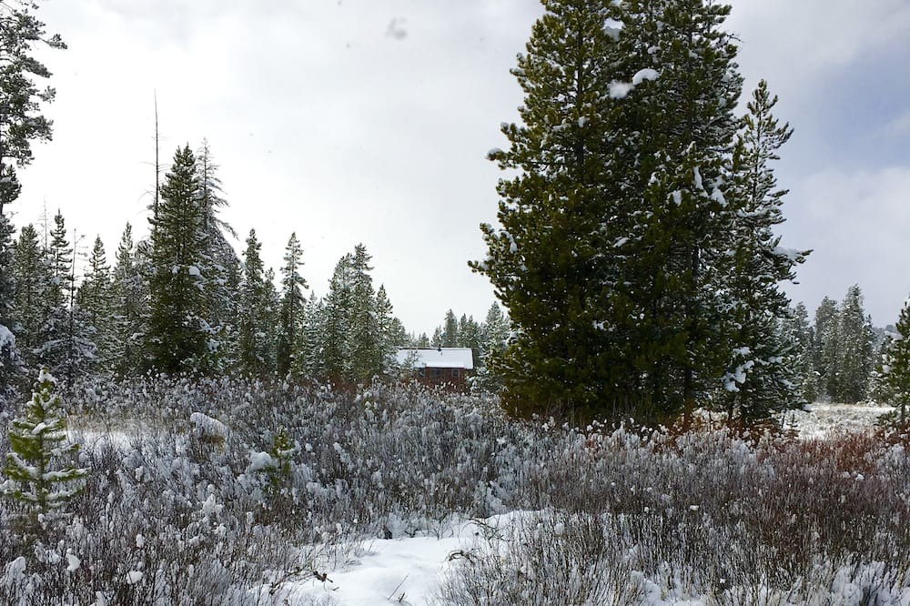 Photo of Outdoor in Moran