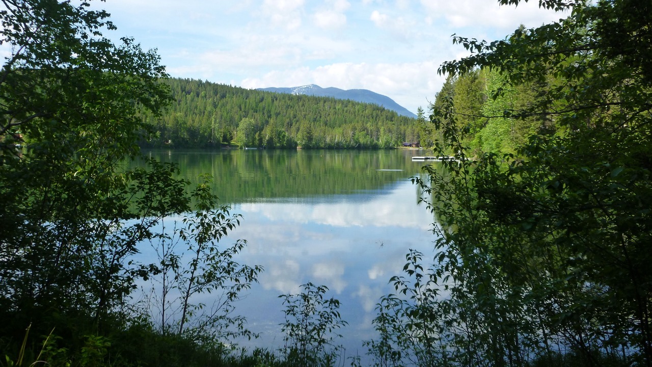 Photo of Others in West Glacier