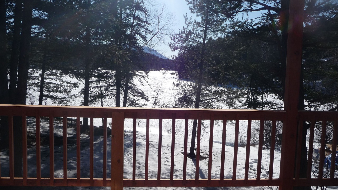 Photo of Outdoor in West Glacier