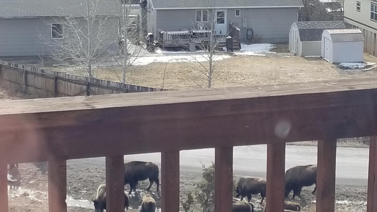 Photo of Others in Gardiner