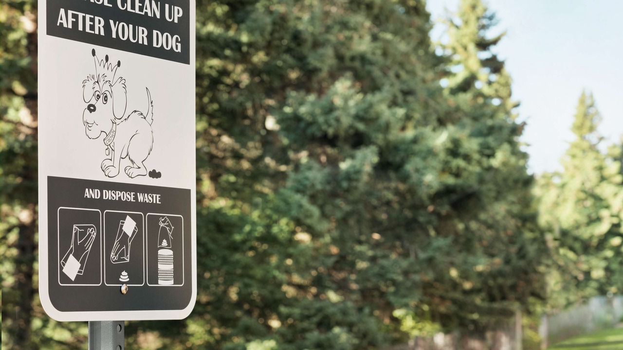 Photo of Outdoor in Bismarck