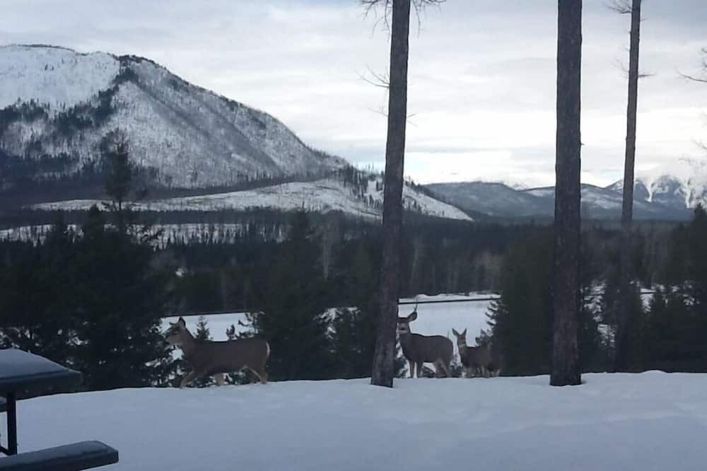 Photo of Others in West Glacier