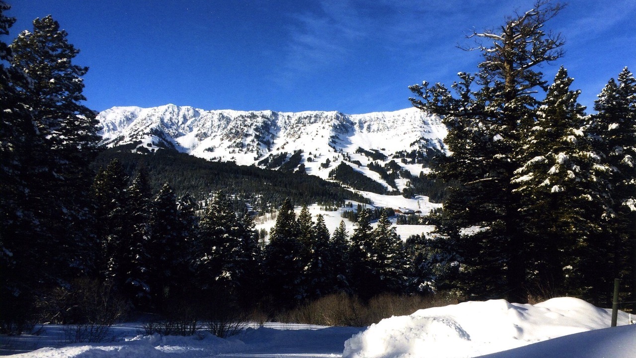 Photo of Others in Bozeman