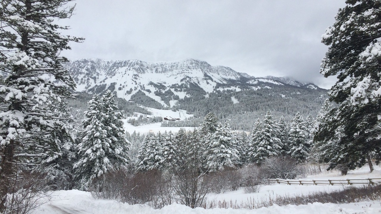 Photo of Others in Bozeman