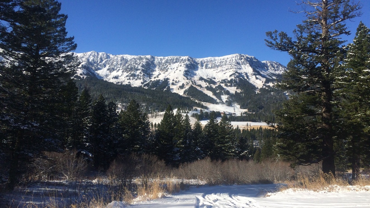 Photo of Others in Bozeman