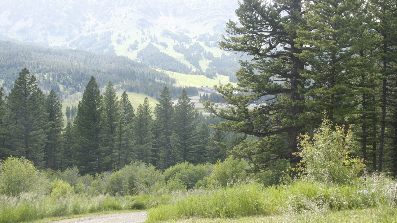 Photo of Outdoor in Bozeman