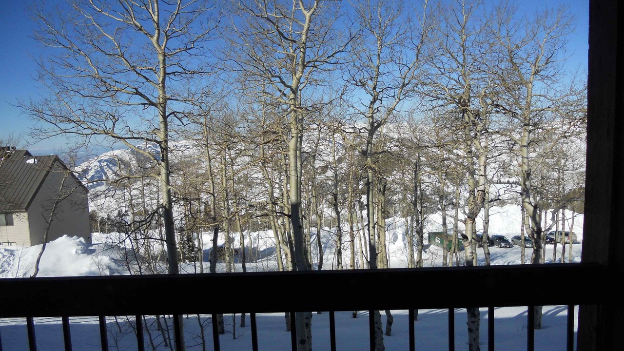 Photo of Outdoor in Powder Ridge Village