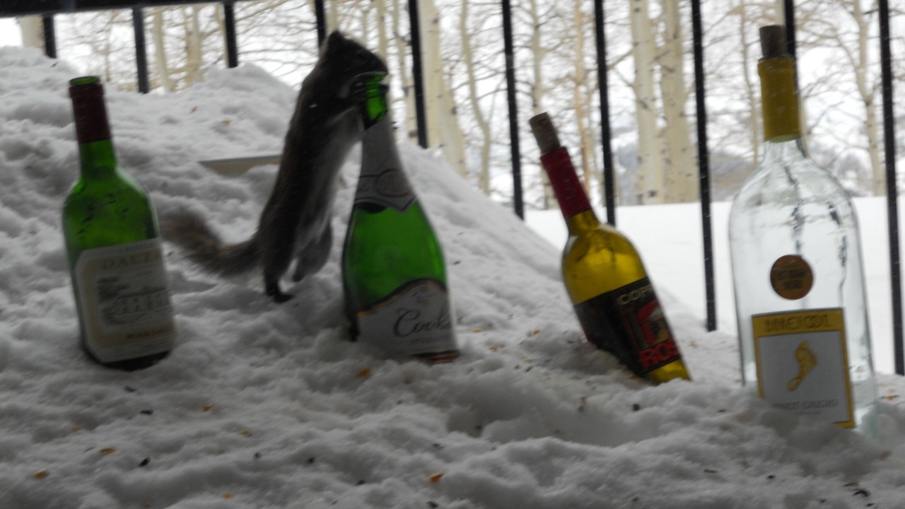 Photo of Others in Powder Ridge Village
