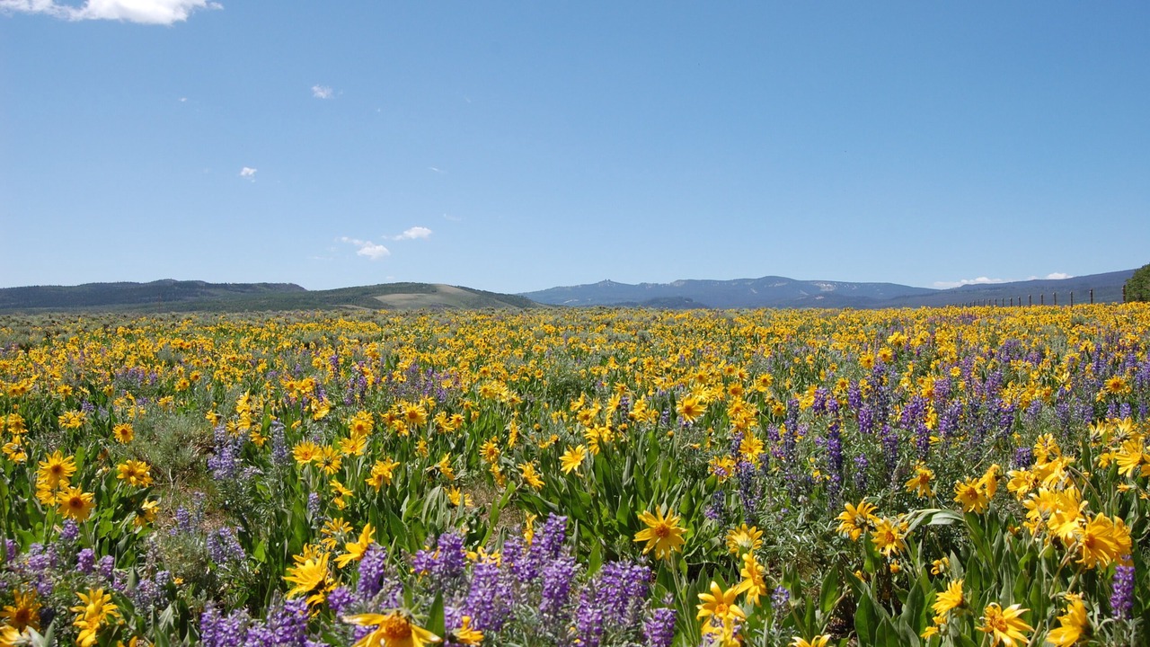 Photo of Outdoor in Coalmont