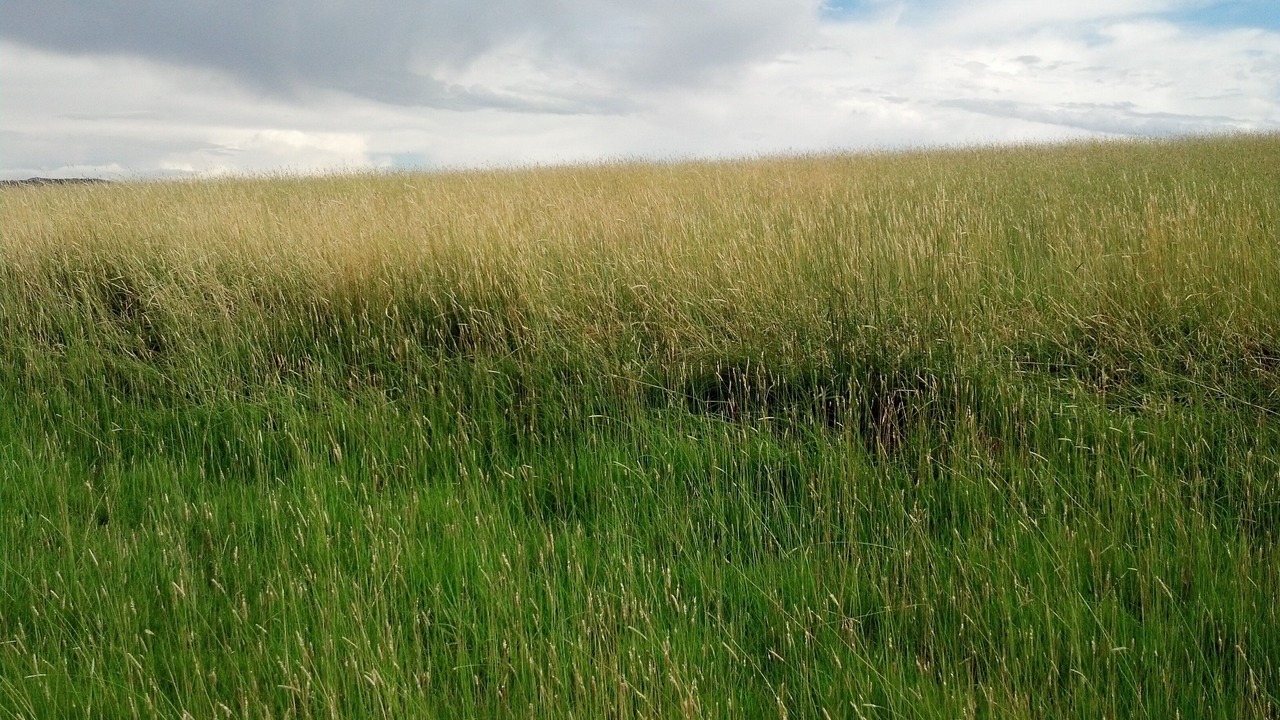 Photo of Outdoor in Coalmont