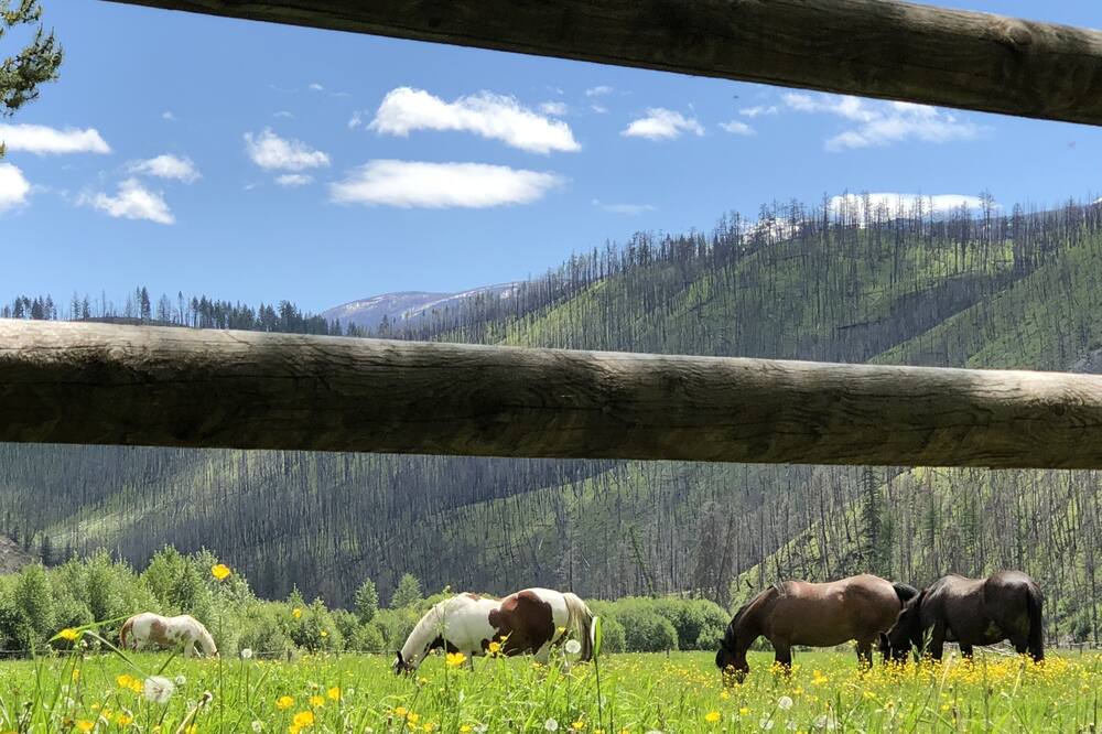 Photo of Outdoor in Lolo