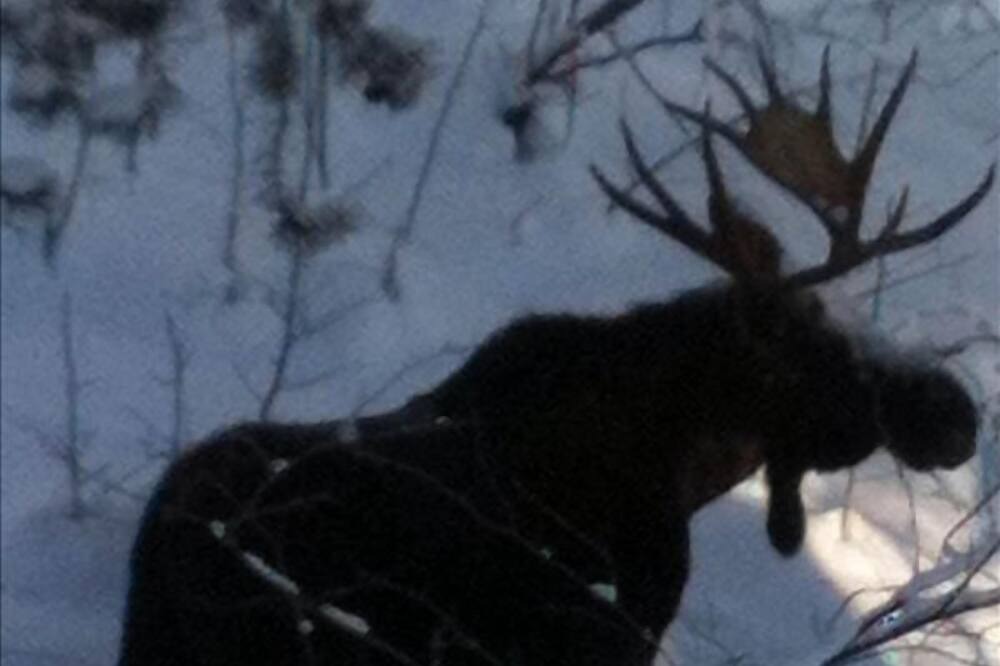 Photo of Others in Wilson