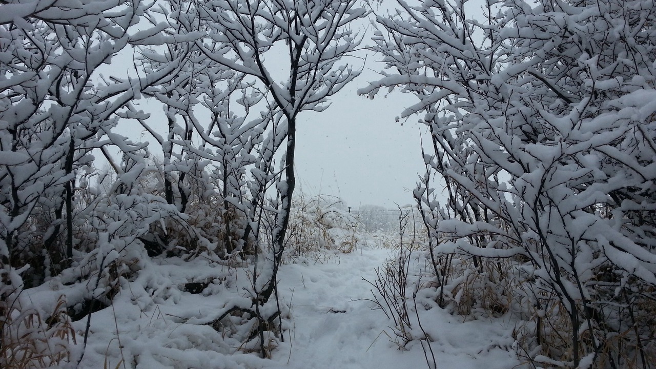 Photo of Outdoor in Livingston