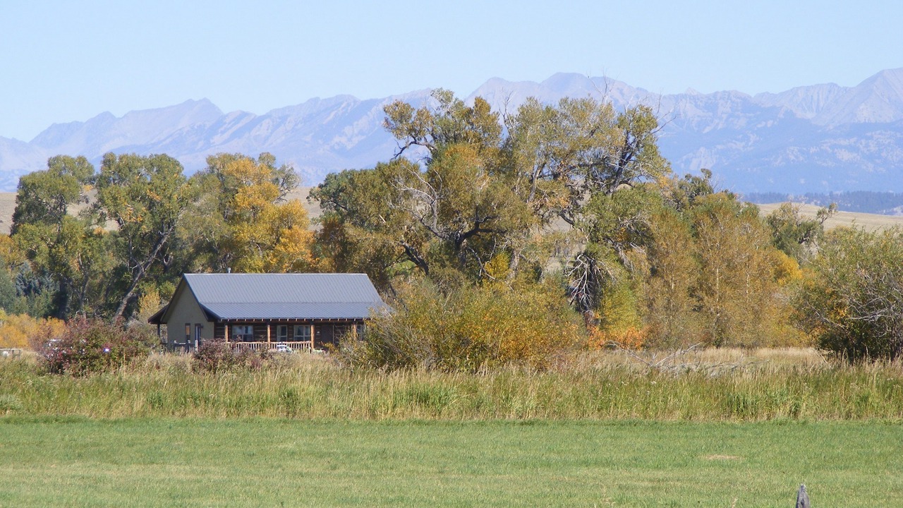 Photo of Outdoor in Livingston