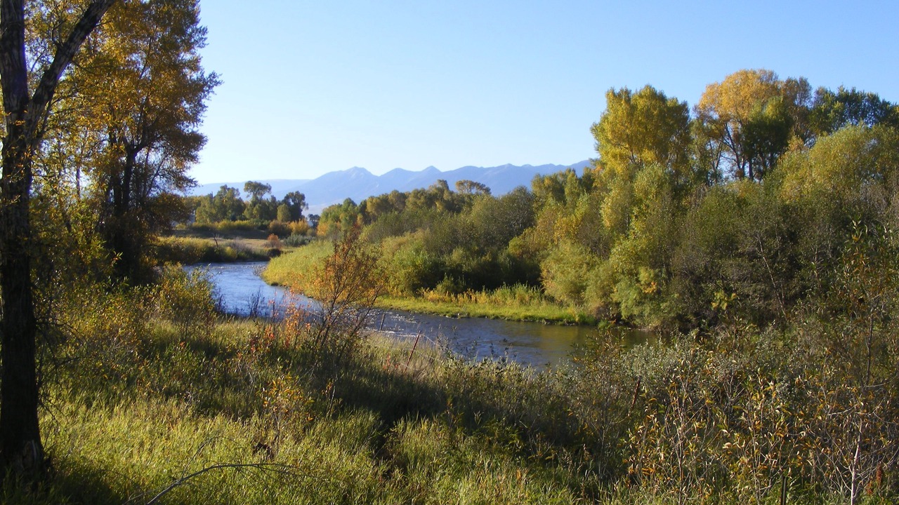 Photo of Outdoor in Livingston