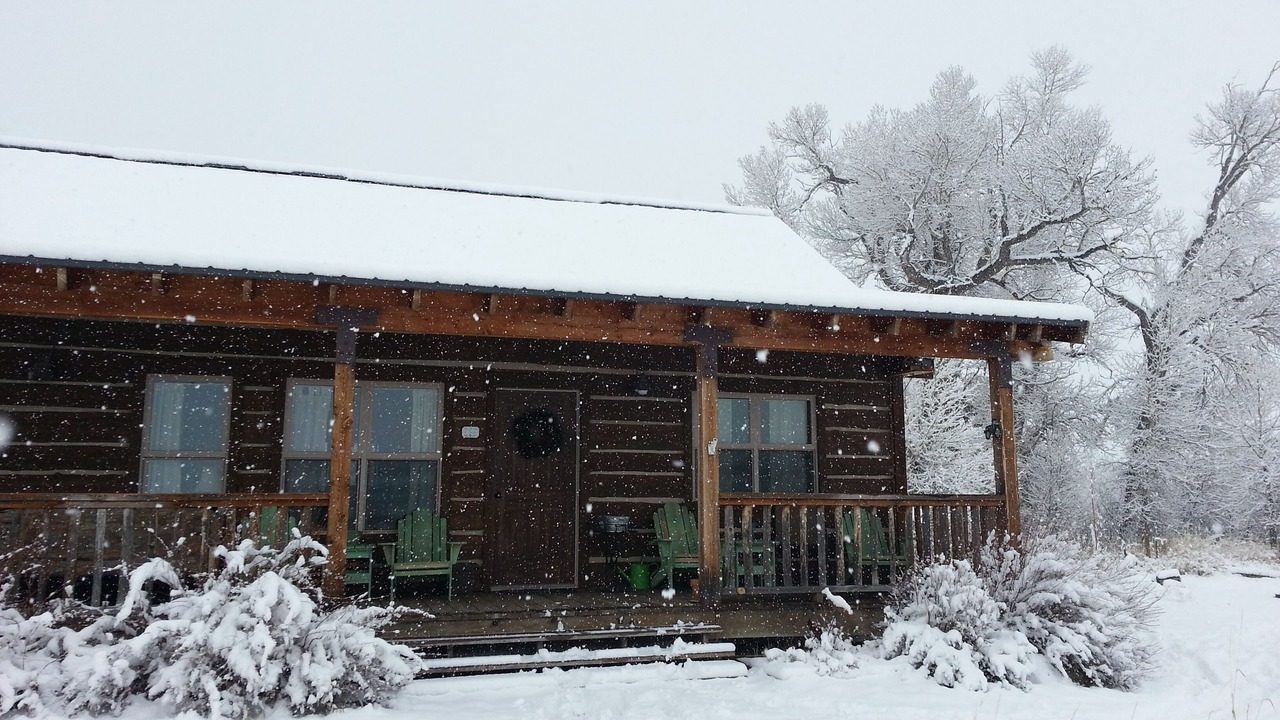 Photo of Outdoor in Livingston