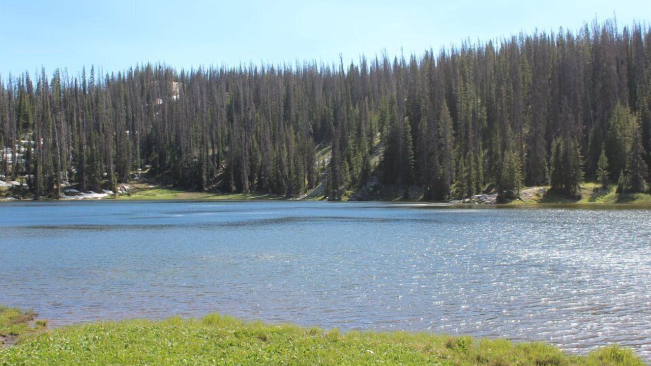 Photo of Outdoor in Centennial