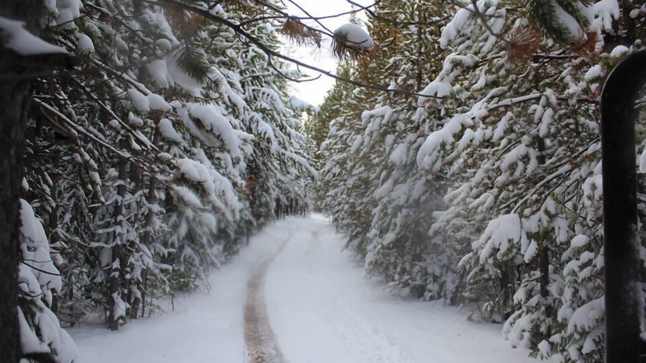 Photo of Outdoor in Centennial