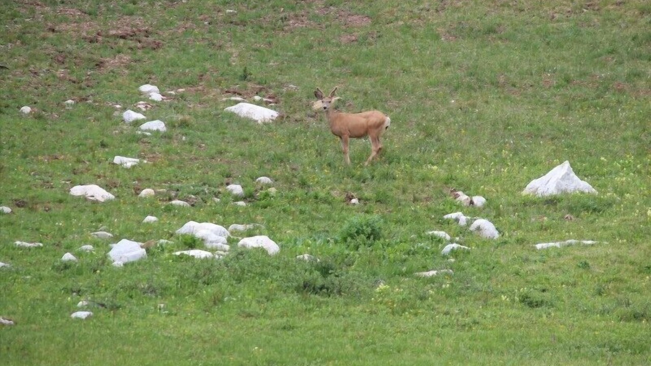 Photo of Outdoor in Centennial