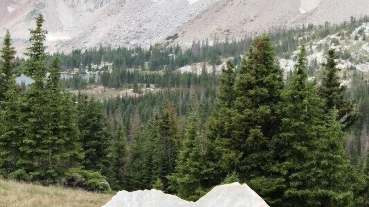 Photo of Outdoor in Centennial