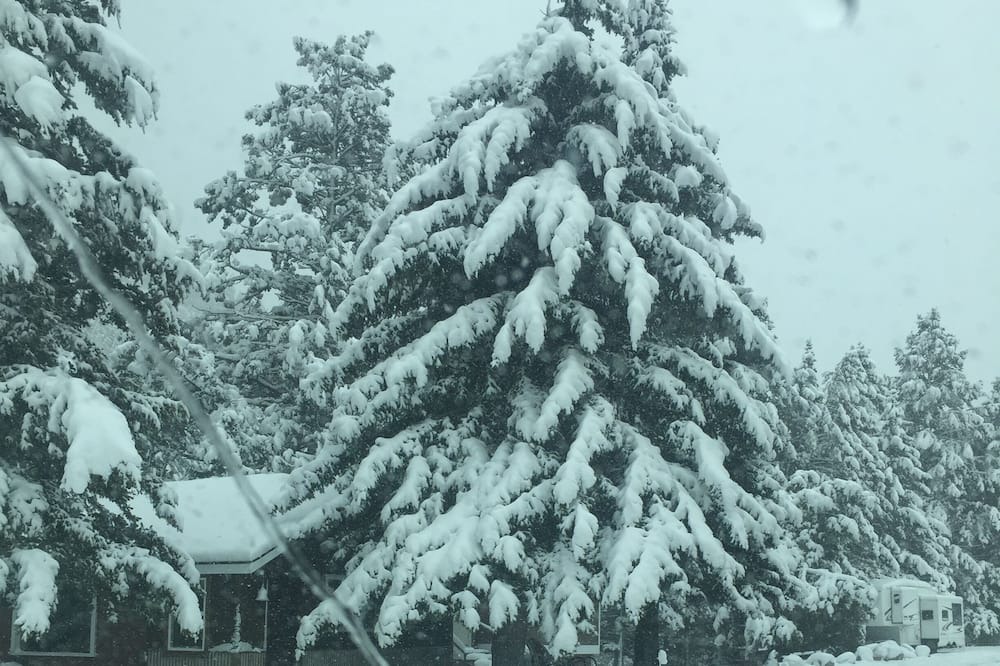Photo of Others in Gallatin Gateway