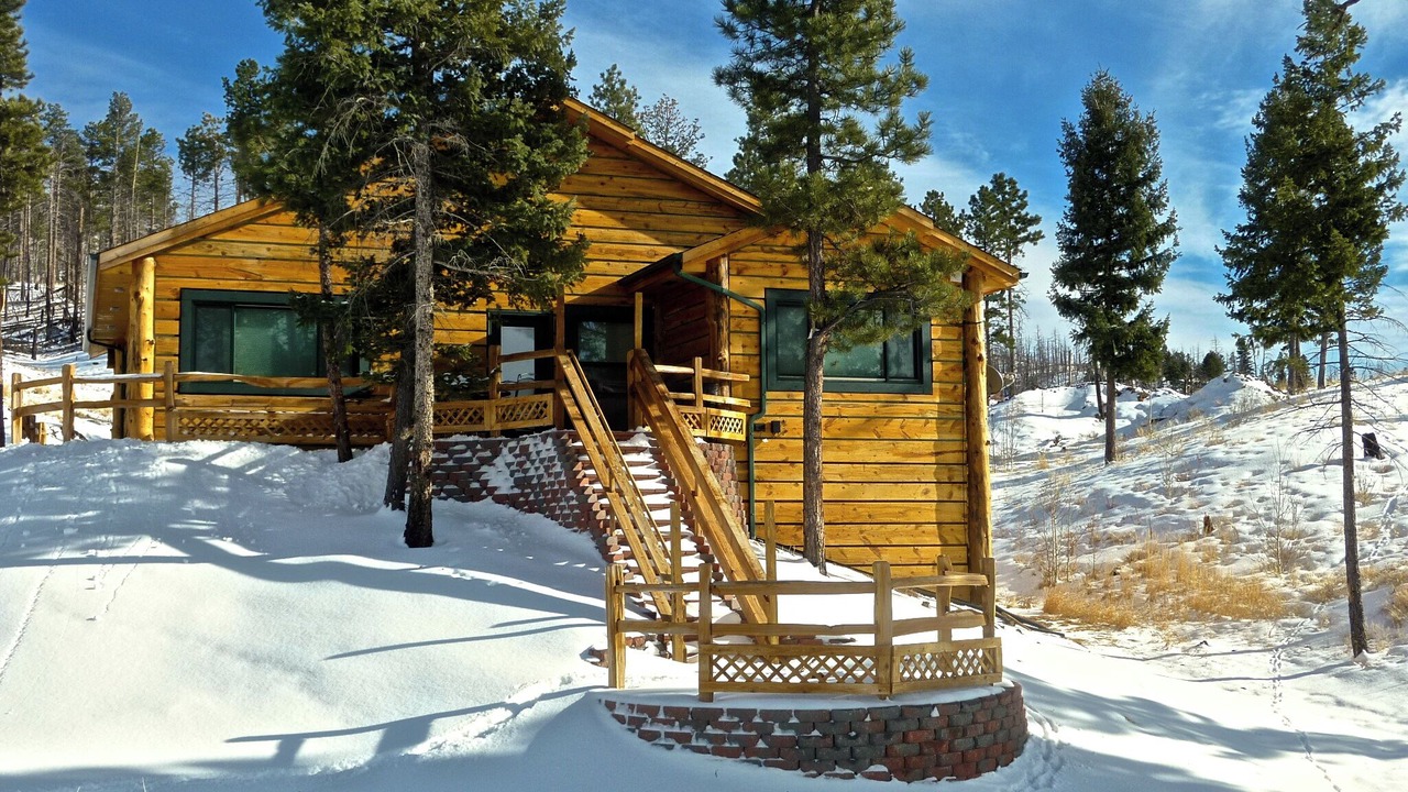 Photo of Outdoor in Woodland Park