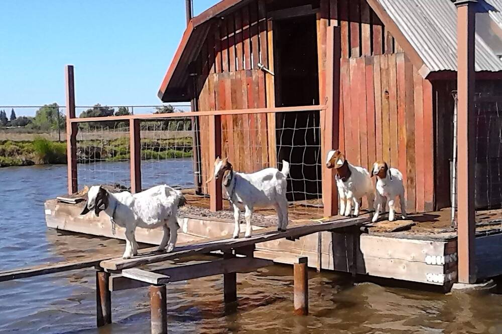 Photo of Others in Sanger