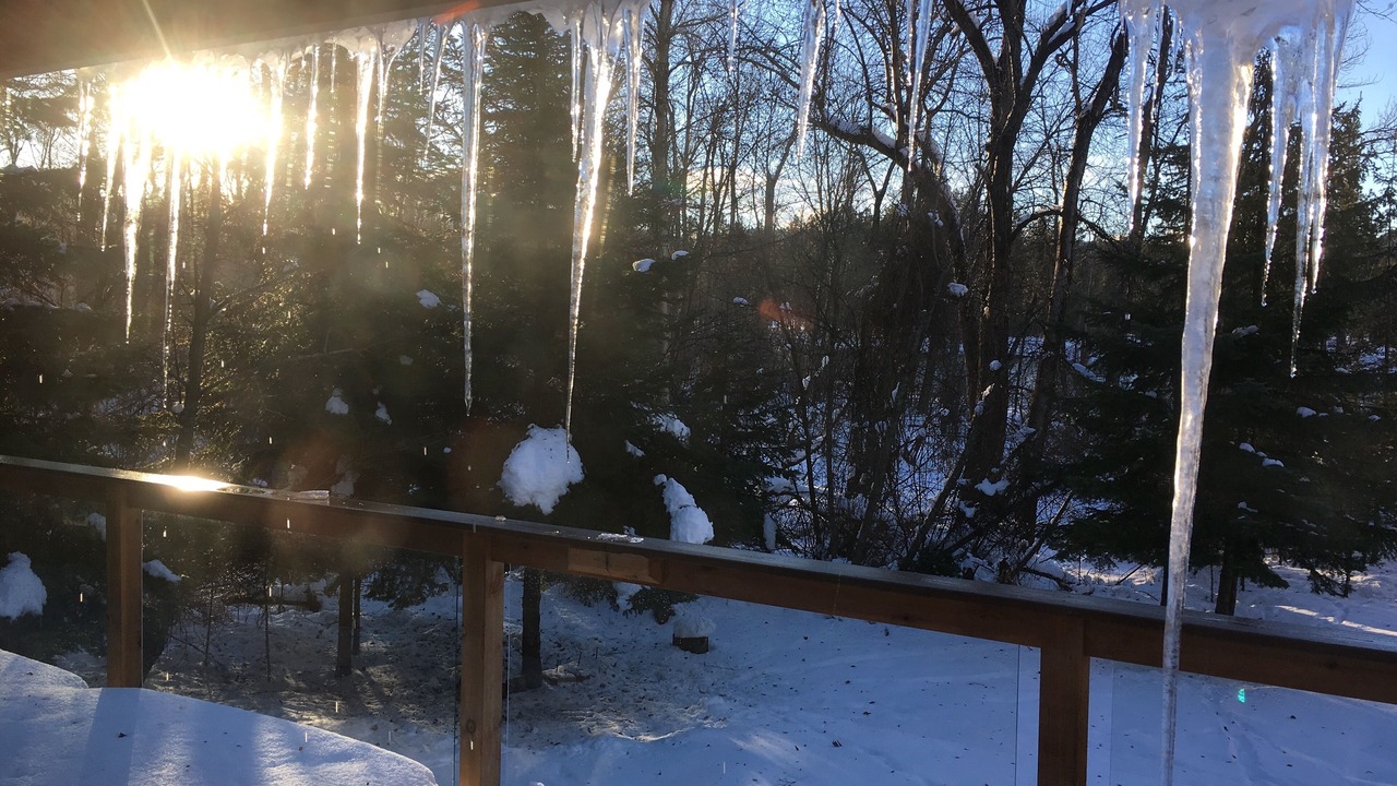 Photo of Outdoor in Bigfork