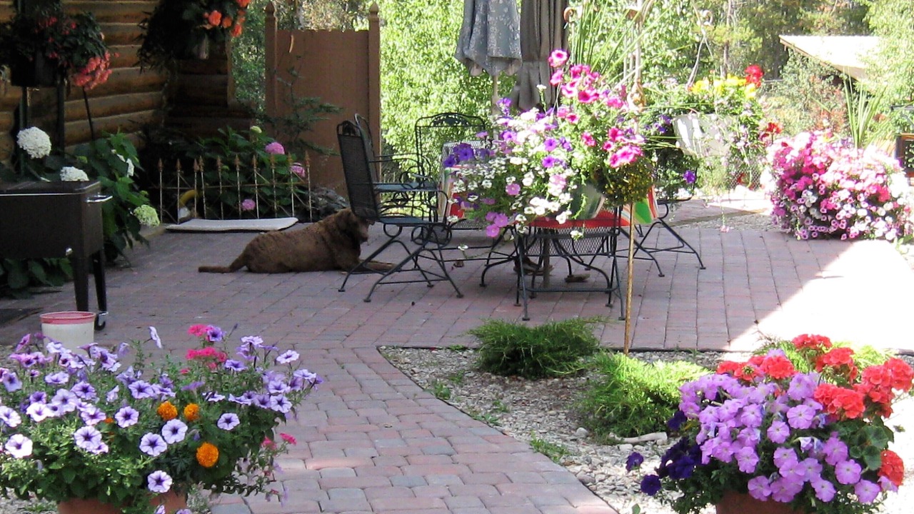 Photo of Patio Balcony in West Glacier