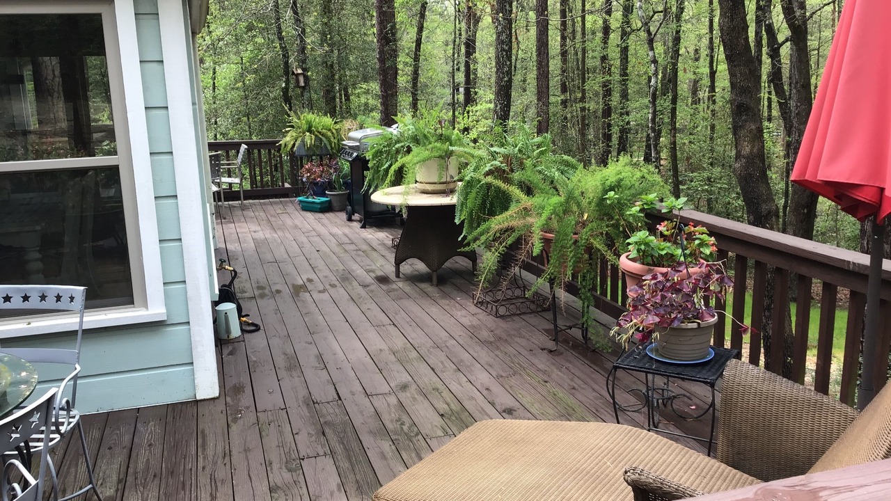 Photo of Outdoor in Holly Lake Ranch