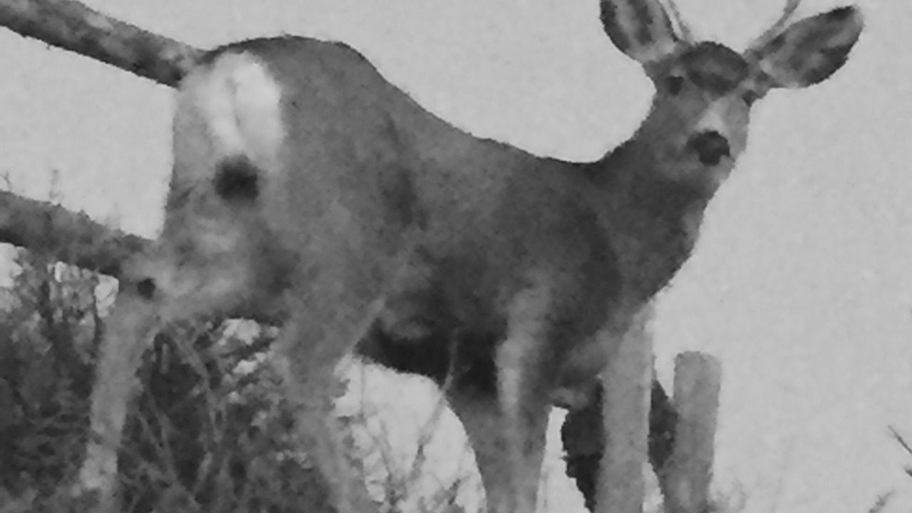 Photo of Outdoor in Hoback Junction