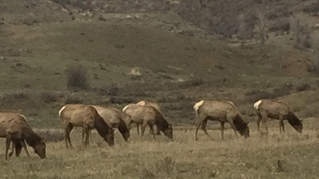 Photo of Outdoor in Hoback Junction