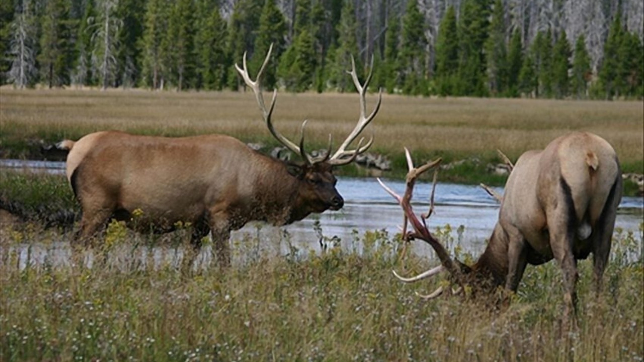 Photo of Outdoor in Emigrant