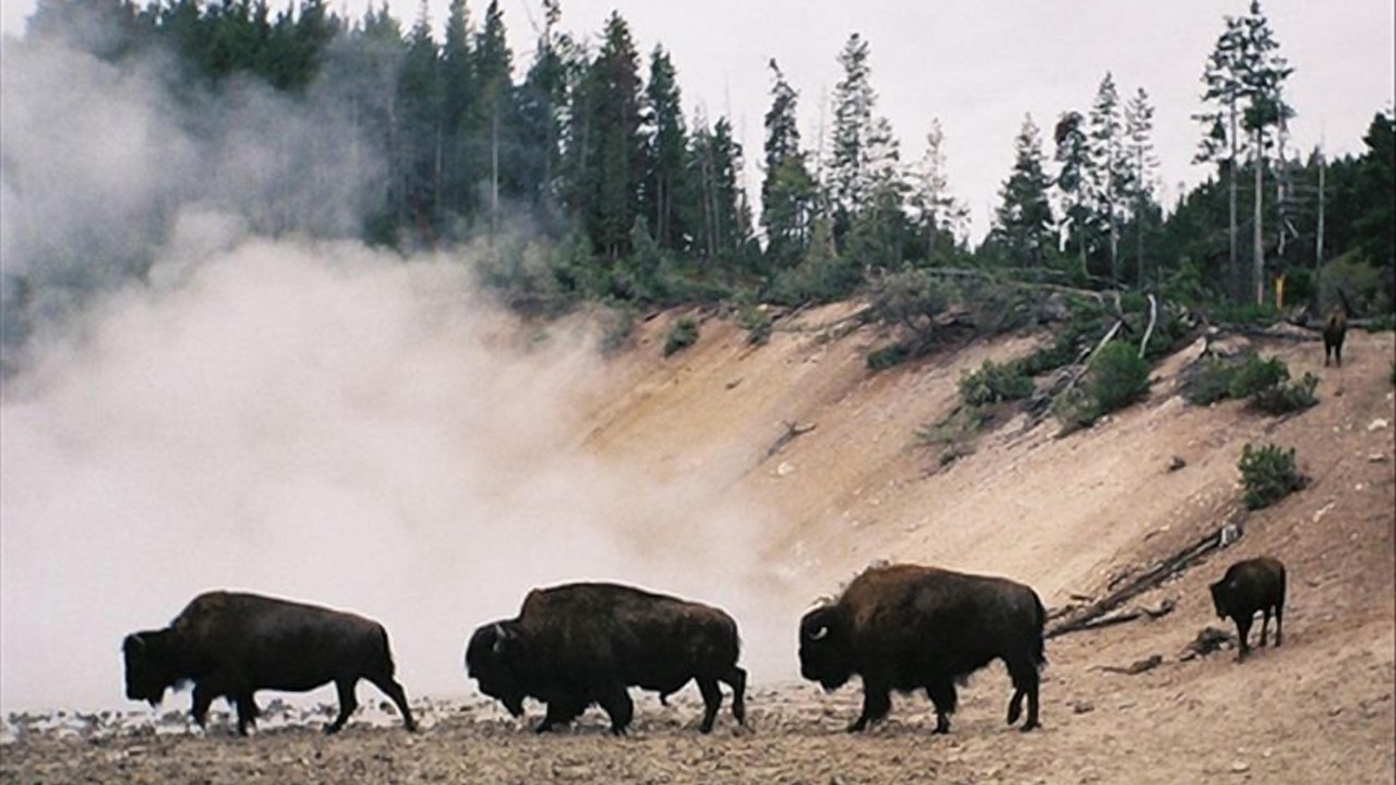 Photo of Outdoor in Emigrant