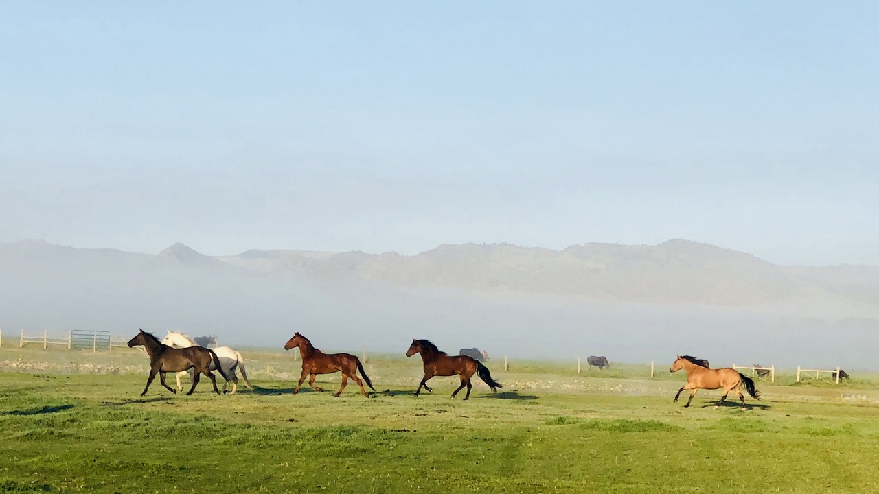 Photo of Outdoor in Ennis