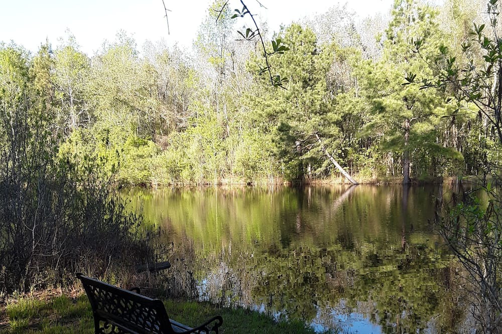 Photo of Outdoor in Dover