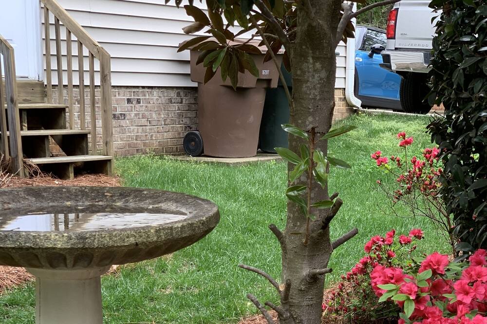 Photo of Outdoor in Greensboro