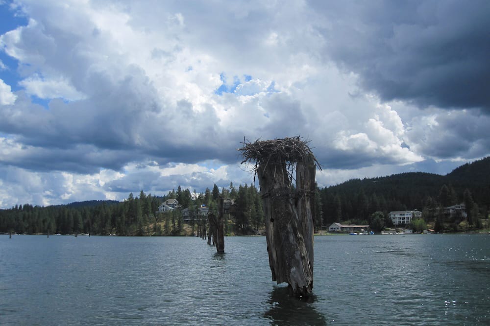 Photo of Others in Post Falls