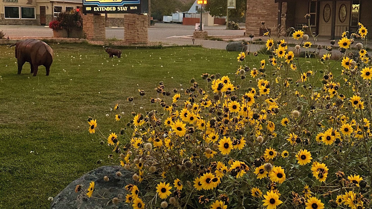 Photo of Outdoor in Rangely