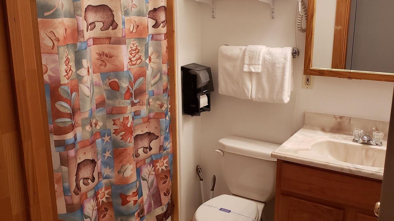 Photo of Bathroom in Etna