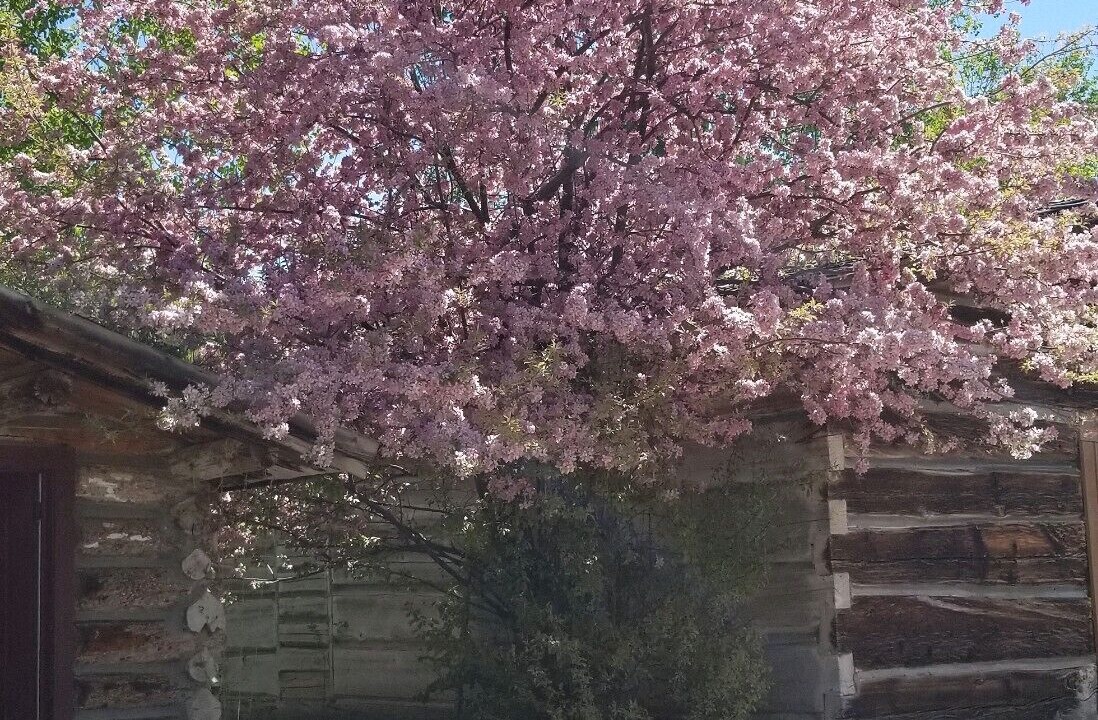 Photo of Outdoor in Virginia City