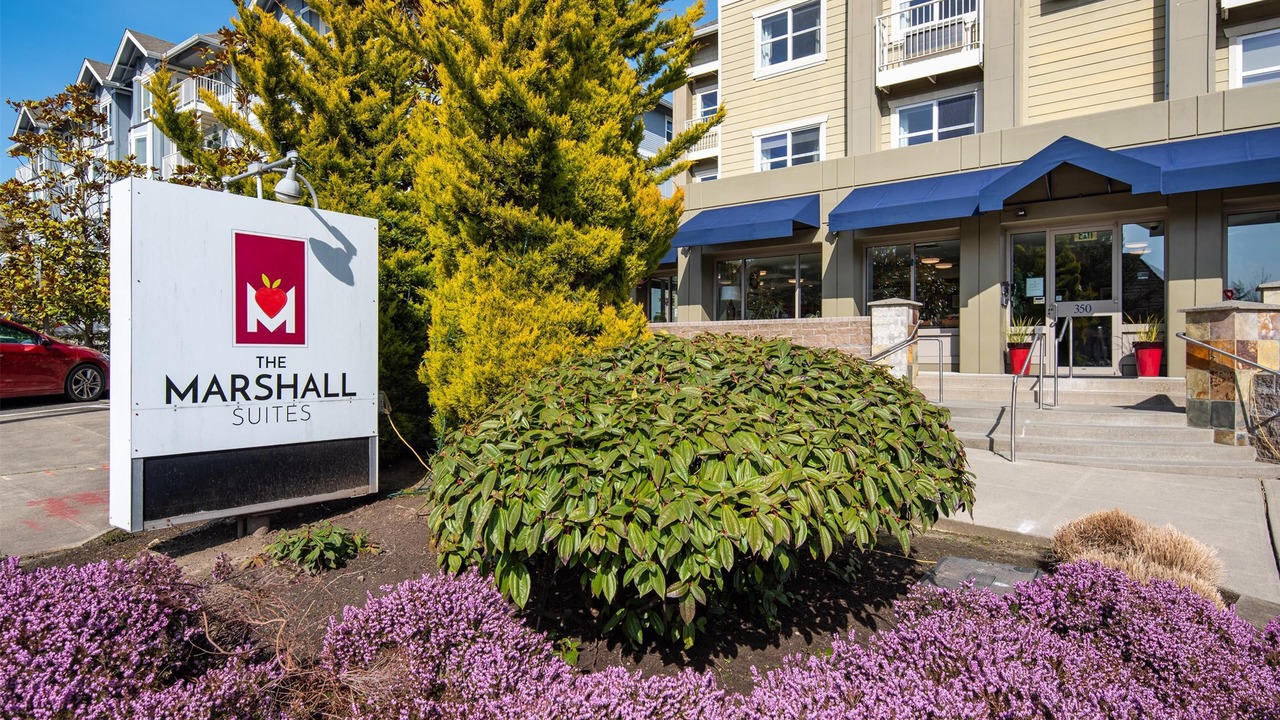 Photo of Outdoor in Bainbridge Island